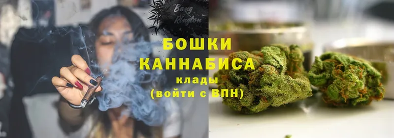 Бошки Шишки White Widow  как найти закладки  Удомля 